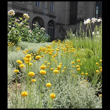 Hotel De L'abbaye Des Prémontrés Pont-à-Mousson