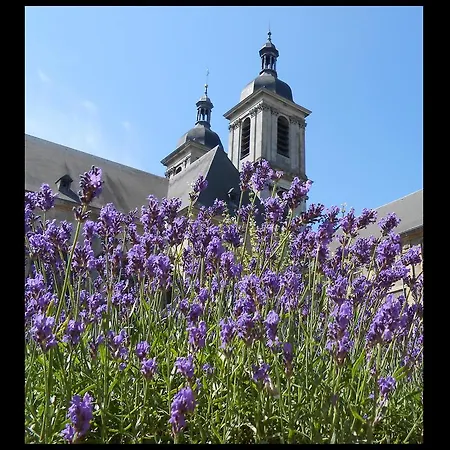 De L'abbaye Des Premontres 호텔 퐁타무종